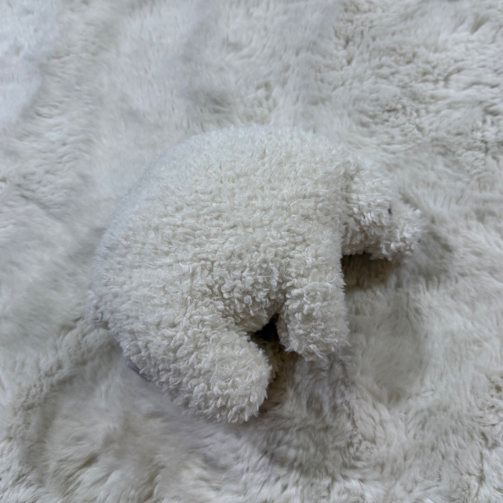 Jellycat Wistful Polar Bear Small Textured Fleece Plush Toy JCINC5005SH